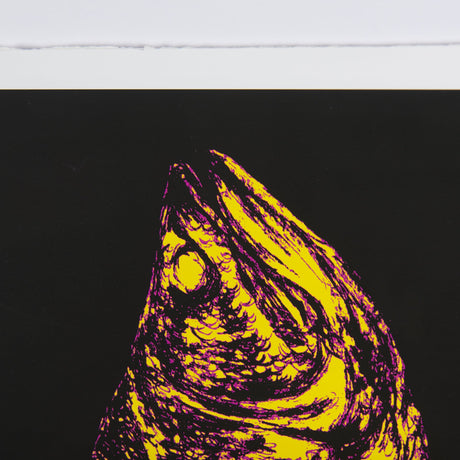 Largemouth Bass Print 4 in 1 by Simeng a Framed Art Print Matted under Glass by Mercana at Eve Furniture