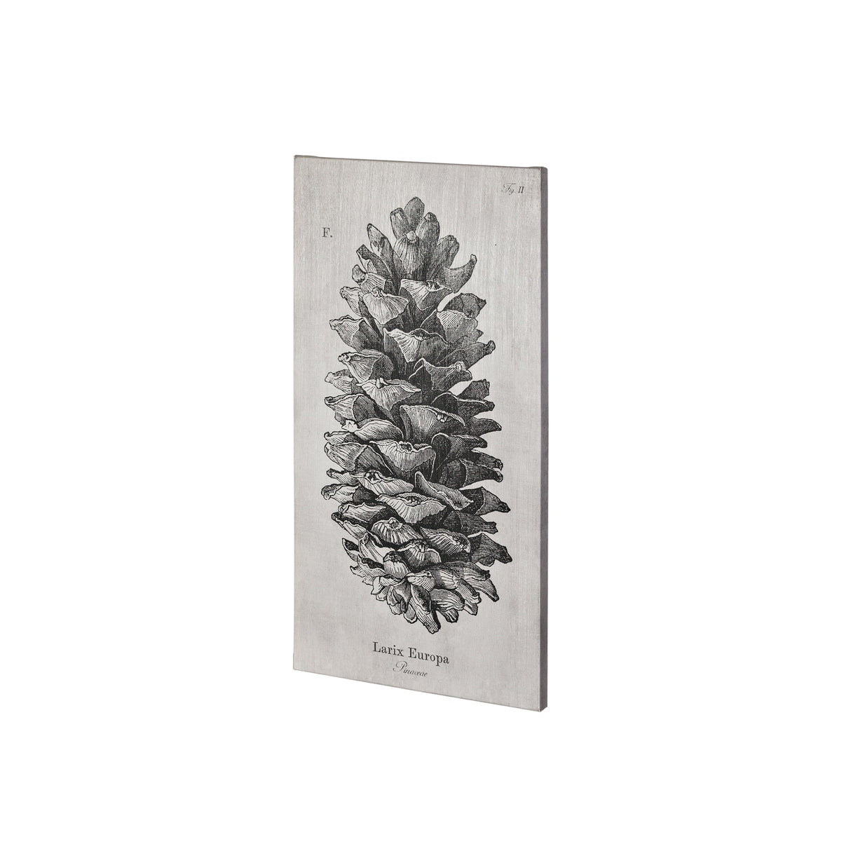 Larix Europa by Mercana Studio a Hand Embellished Textured Canvas by Mercana at Eve Furniture