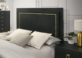 Latimer Black LED Queen Panel Bed by Furniture of America at Eve Furniture