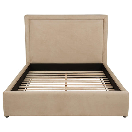 Lawson Light Saddle 55-inch Upholstered Queen Platform Bed by Coaster at Eve Furniture