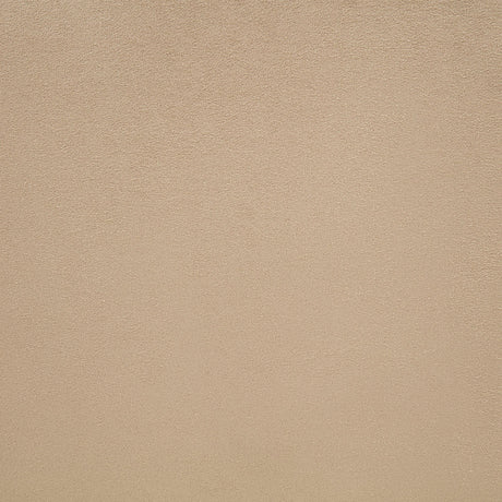 Lawson Light Saddle 55-inch Upholstered Queen Platform Bed by Coaster at Eve Furniture