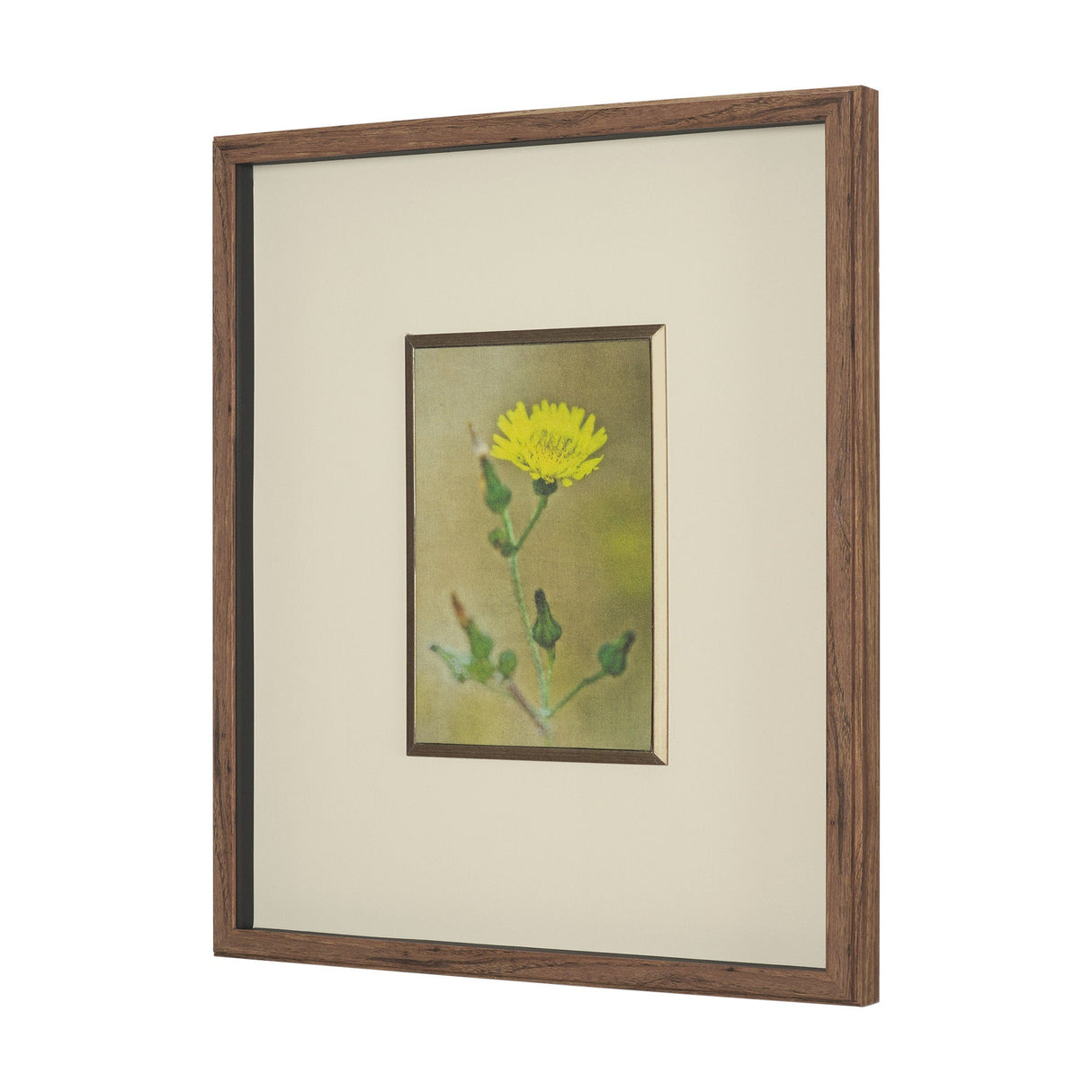 Leaf Charm by Michael Banks a Hand Embellished Framed Photo Art Print Matted under Glass by Mercana at Eve Furniture