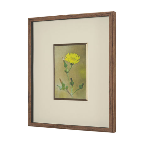 Leaf Charm by Michael Banks a Hand Embellished Framed Photo Art Print Matted under Glass by Mercana at Eve Furniture