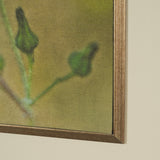 Leaf Charm by Michael Banks a Hand Embellished Framed Photo Art Print Matted under Glass by Mercana at Eve Furniture