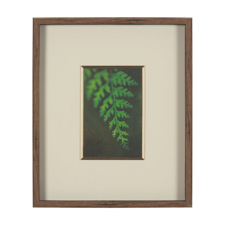 Leaf Charm by Michael Banks a Hand Embellished Framed Photo Art Print Matted under Glass by Mercana at Eve Furniture