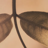 Leaf Imaging by Michael Banks a Hand Embellished Framed Photo Art Print Matted under Glass by Mercana at Eve Furniture