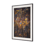 Leafy Shelter by Bobbie Goodrich a Hand Embellished Framed Photo Art Print Matted under Glass by Mercana at Eve Furniture