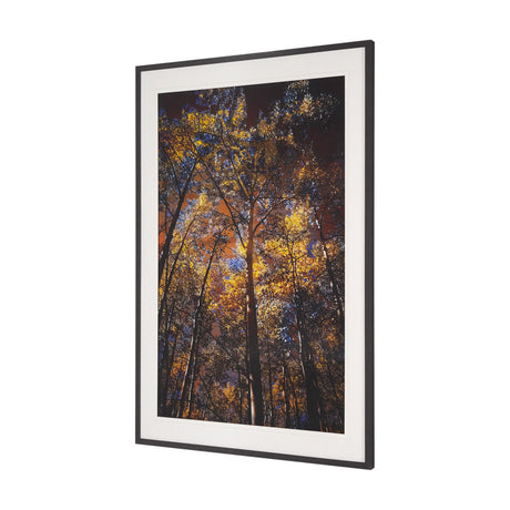 Leafy Shelter by Bobbie Goodrich a Hand Embellished Framed Photo Art Print Matted under Glass by Mercana at Eve Furniture