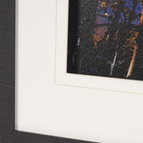 Leafy Shelter by Bobbie Goodrich a Hand Embellished Framed Photo Art Print Matted under Glass by Mercana at Eve Furniture