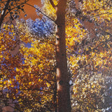 Leafy Shelter by Bobbie Goodrich a Hand Embellished Framed Photo Art Print Matted under Glass by Mercana at Eve Furniture