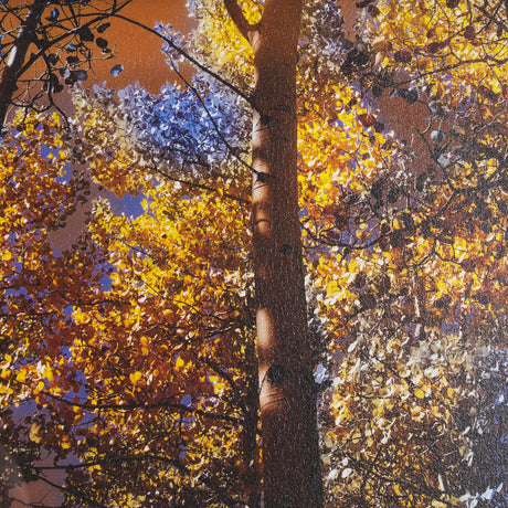 Leafy Shelter by Bobbie Goodrich a Hand Embellished Framed Photo Art Print Matted under Glass by Mercana at Eve Furniture