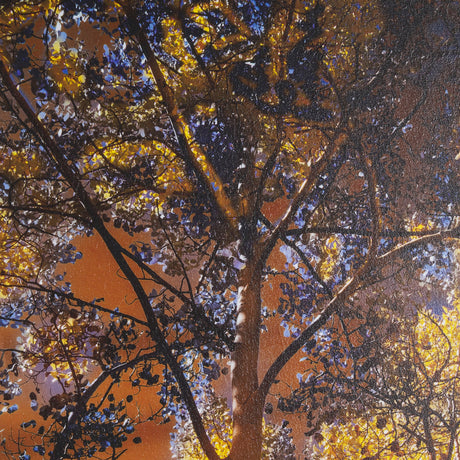 Leafy Shelter by Bobbie Goodrich a Hand Embellished Framed Photo Art Print Matted under Glass by Mercana at Eve Furniture