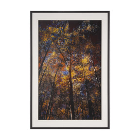 Leafy Shelter by Bobbie Goodrich a Hand Embellished Framed Photo Art Print Matted under Glass by Mercana at Eve Furniture