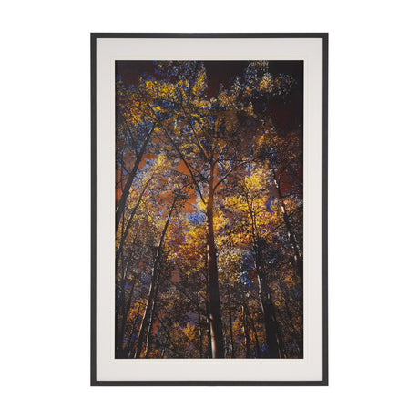 Leafy Shelter by Bobbie Goodrich a Hand Embellished Framed Photo Art Print Matted under Glass by Mercana at Eve Furniture
