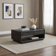 Leandro Burnished Black 2-drawer Wood Cocktail Coffee Table by Coaster at Eve Furniture