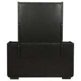 Leandro Burnished Black 8-drawer Bedroom Dresser with Mirror by Coaster at Eve Furniture