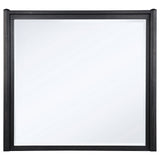 Leandro Burnished Black Dresser Mirror by Coaster at Eve Furniture