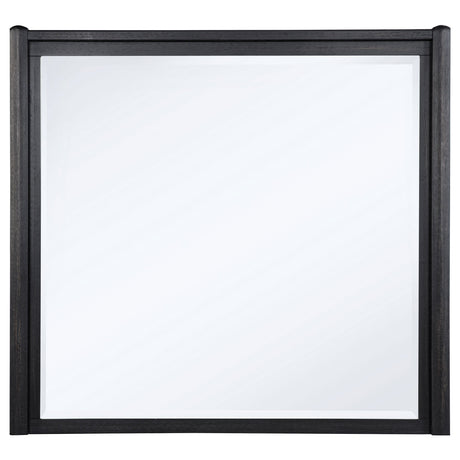 Leandro Burnished Black Dresser Mirror by Coaster at Eve Furniture