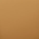 Leo Performance Vegan Leather Dining Chair by TOV Furniture at Eve Furniture