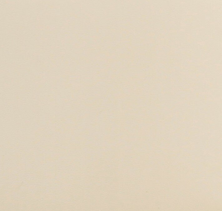 Leo Performance Vegan Leather Dining Chair by TOV Furniture at Eve Furniture