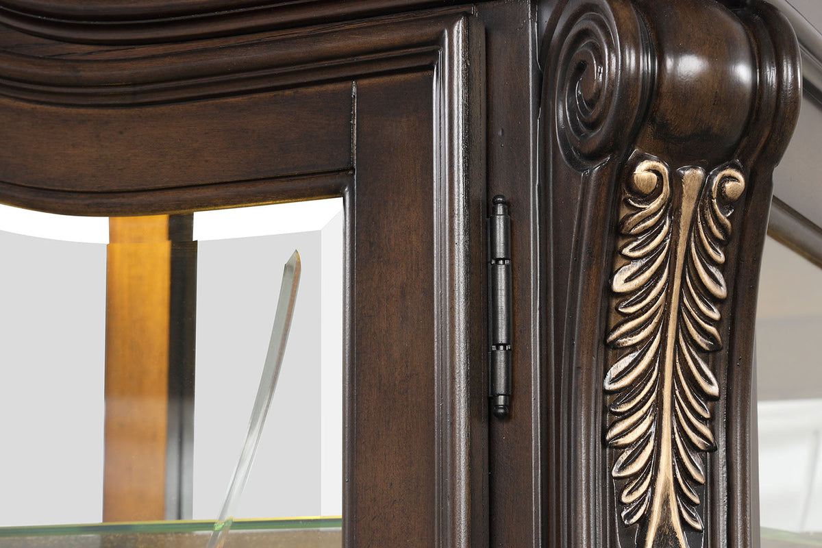 Leovanni Dark Brown Curio Cabinet by Furniture of America at Eve Furniture