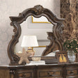Leovanni Dark Brown Mirror by Furniture of America at Eve Furniture