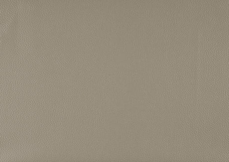 Lewes Latte Leather Sofa by Homelegance at Eve Furniture