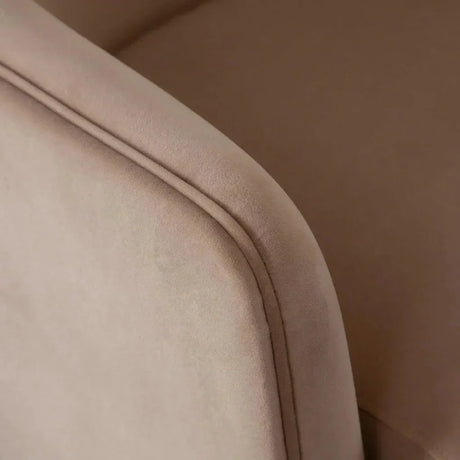 Leyah Camel Performance Velvet Accent Arm Chair by Diamond Sofa at Eve Furniture