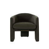 Leyah Performance Velvet Green Accent Chair by Diamond Sofa at Eve Furniture