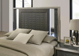 Leyland Dark Gray LED King Platform Bed by Furniture of America at Eve Furniture