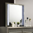 Leyland Dark Gray Mirror by Furniture of America at Eve Furniture