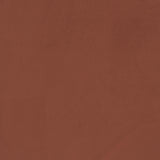 Liana Rust Orange Upholstered Roll Arm Accent Armchair by Coaster at Eve Furniture