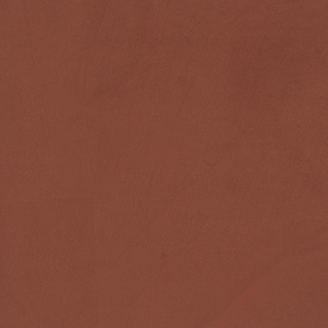 Liana Rust Orange Upholstered Roll Arm Accent Armchair by Coaster at Eve Furniture