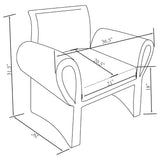 Liana Rust Orange Upholstered Roll Arm Accent Armchair by Coaster at Eve Furniture