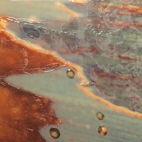 Lido by Alicia Bock a Hand Embellished Textured Framed Photo Art Print Matted under Glass by Mercana at Eve Furniture