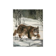 Life in North I by Melody Ducharme a Hand Embellished Textured Canvas by Mercana at Eve Furniture