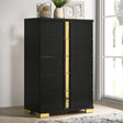 Lillestrom Black/Gold Chest by Furniture of America at Eve Furniture
