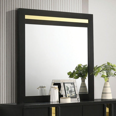 Lillestrom Black/Gold Mirror by Furniture of America at Eve Furniture