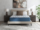 Limited Edition 3.0 White Queen Plush Mattress by Ashley at Eve Furniture