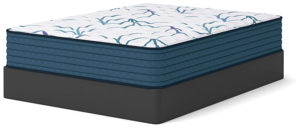 Limited Edition Firm 3.0 Queen Mattress by Ashley at Eve Furniture