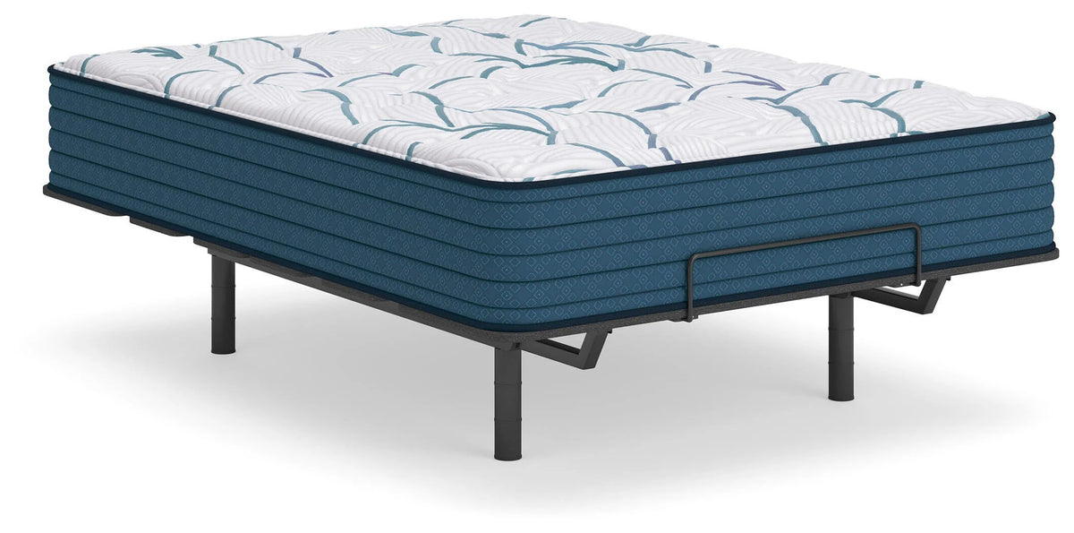 Limited Edition Plush PT 3.0 Full Mattress
