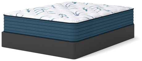 Limited Edition Plush PT 3.0 Full Mattress by Ashley at Eve Furniture