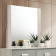 Lincolt White Wash/Stone Gray Mirror by Furniture of America at Eve Furniture