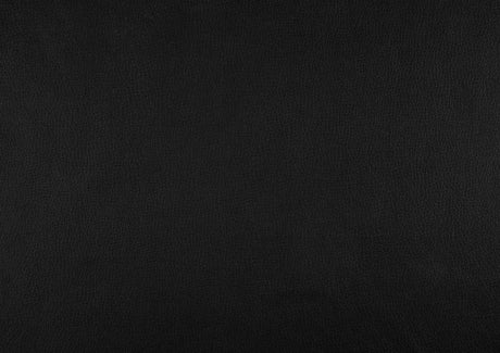 Littleton Black Double Reclining Living Room Set by Homelegance at Eve Furniture