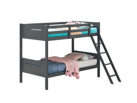 Littleton Gray Twin/Twin Bunk Bed by Coaster at Eve Furniture