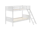 Littleton White Twin/Twin Bunk Bed by Coaster at Eve Furniture