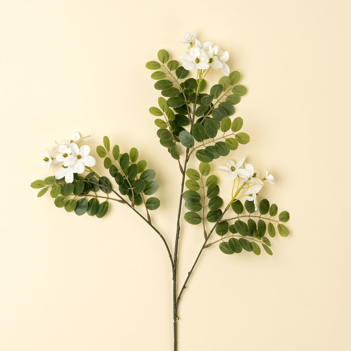 Locust Flower Branch, Set of 24 by Mercana at Eve Furniture