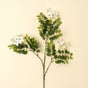 Locust Flower Branch, Set of 24 by Mercana at Eve Furniture