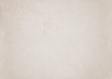 Lofton Light Gray/Ivory Side Chair, Set of 2 by Homelegance at Eve Furniture