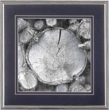 Logging Light VI by John Butler a Hand Embellished Textured Framed Photo Art Print Matted under Glas by Mercana at Eve Furniture